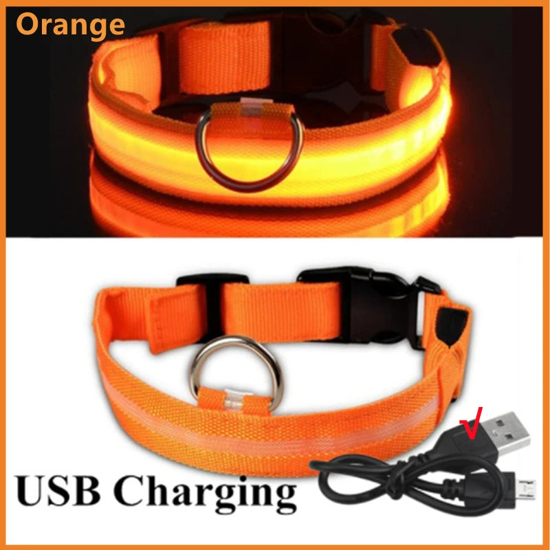 USB Rechargeable LED Glowing Collar for Pets
