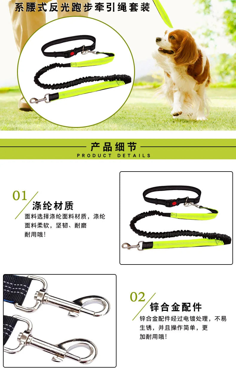 Hands-Free Dog Leash with Waist and Chest Straps