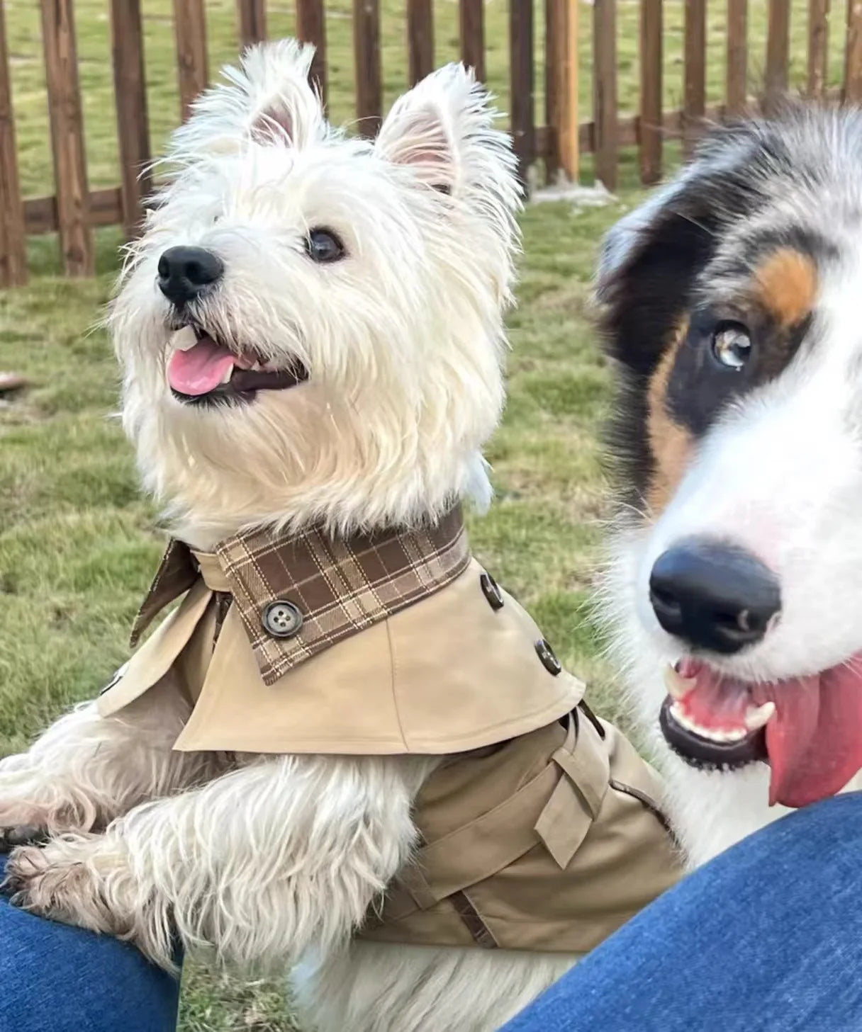 British Style Dog Coat Durable Pet Outerwear Brown Plaid with Adjustable Straps for Cold Weather Puppy Kitten Small Dog Cape