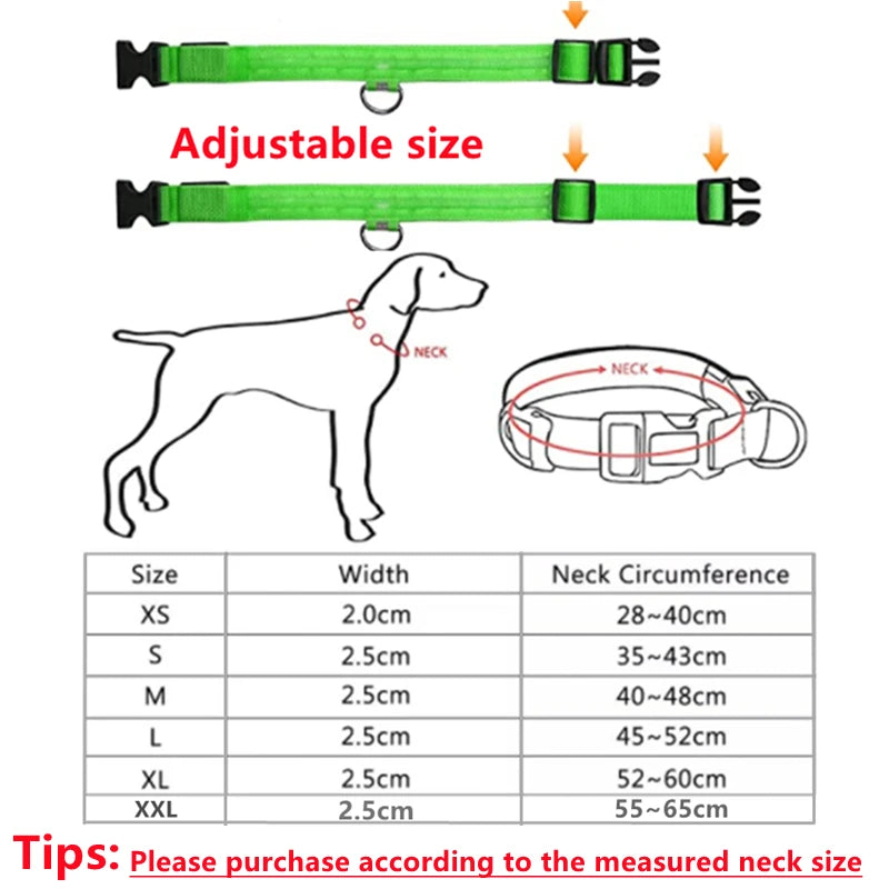 USB Rechargeable LED Glowing Collar for Pets
