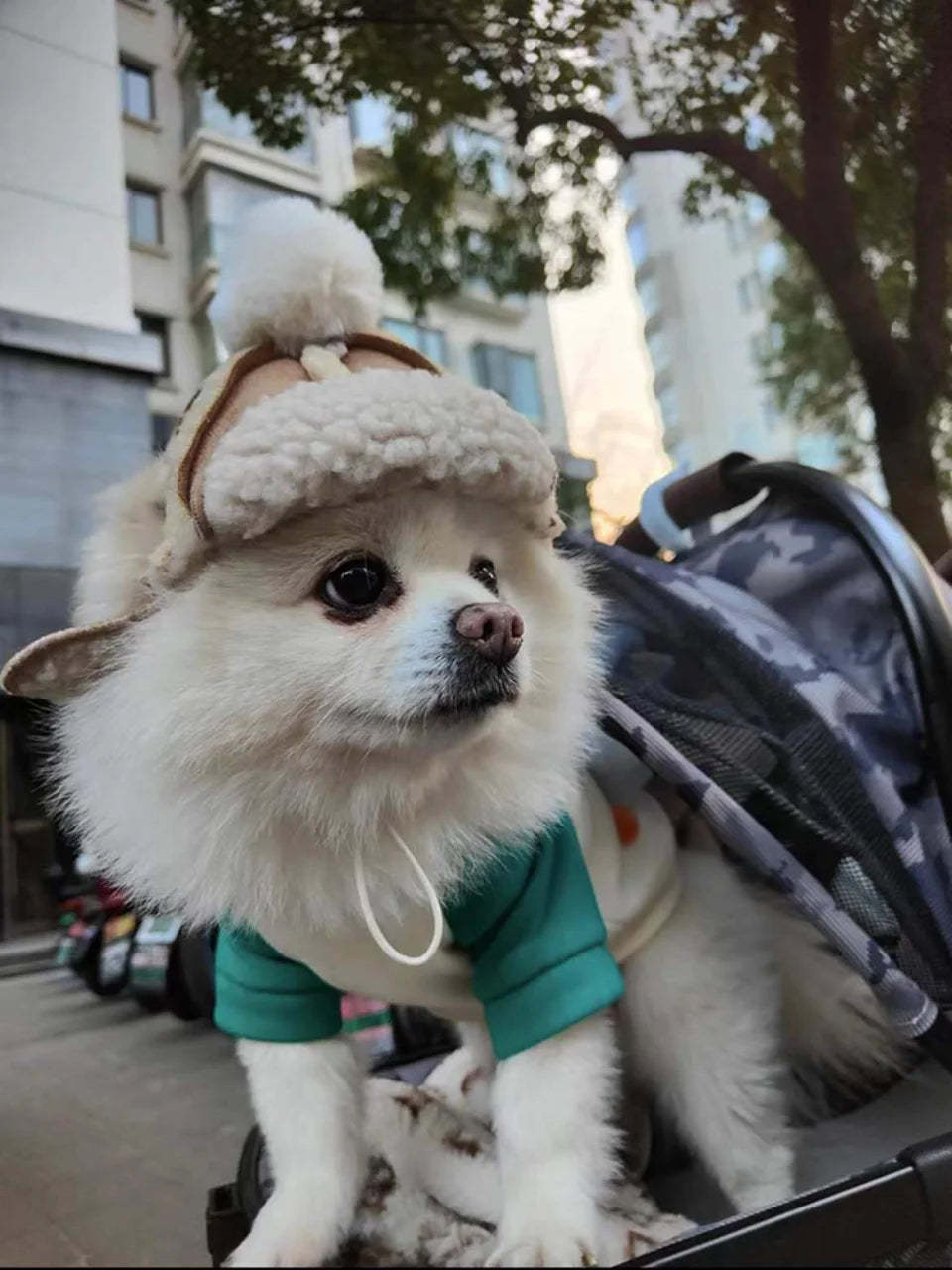NONOR Pet Warm Hat Ear-popping Funny thickened adjustable Dog hat for Corgi Tedi French Bulldog Accessory Cat And Dog Headdress