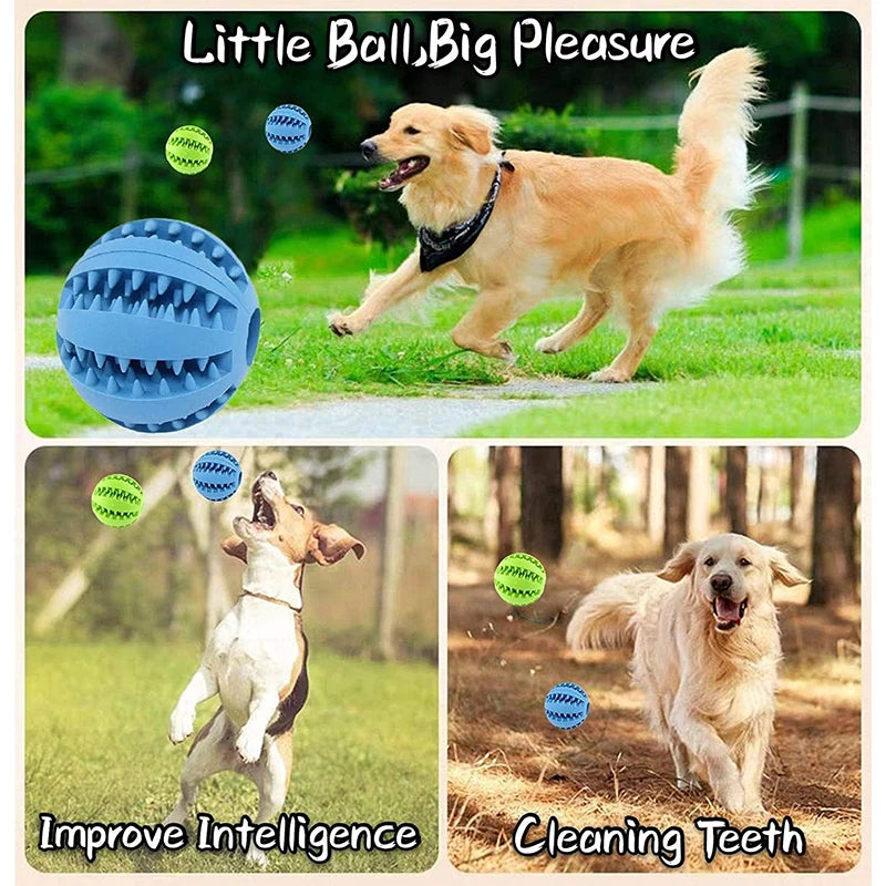 Rubber Treat Feeder & Teeth Cleaning Puzzle