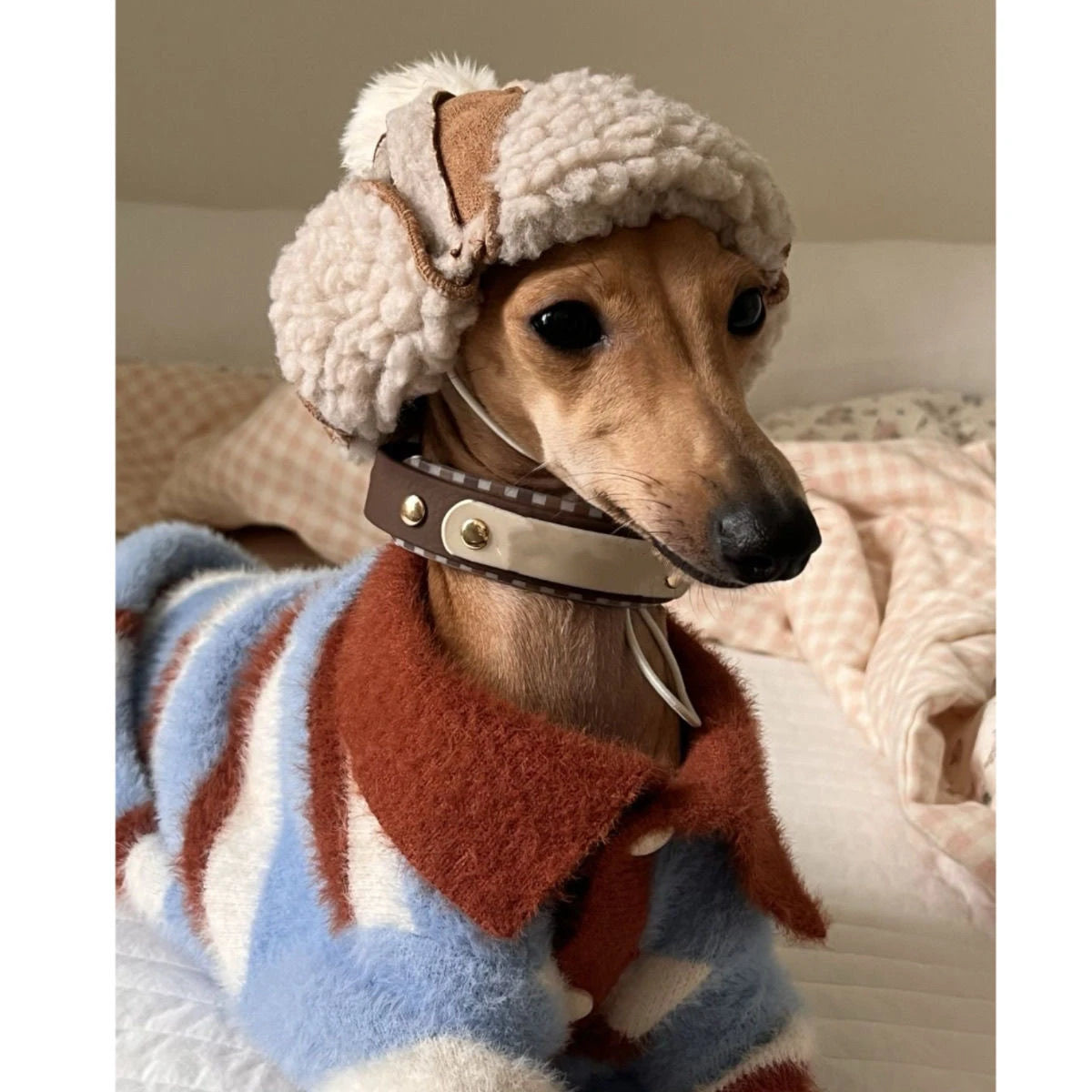 Anti-shedding Pet Dog Sweater Autumn Winter Stripe Pattern Small Breed Puppy  Clothes Trendy Outdoor Universal Dog Clothes