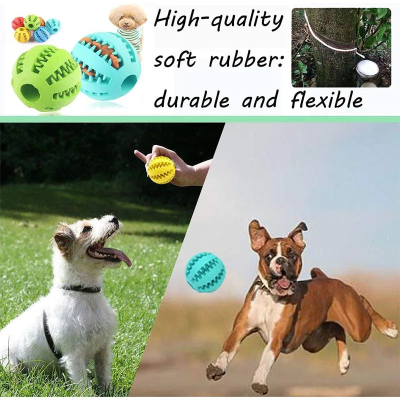 Rubber Treat Feeder & Teeth Cleaning Puzzle