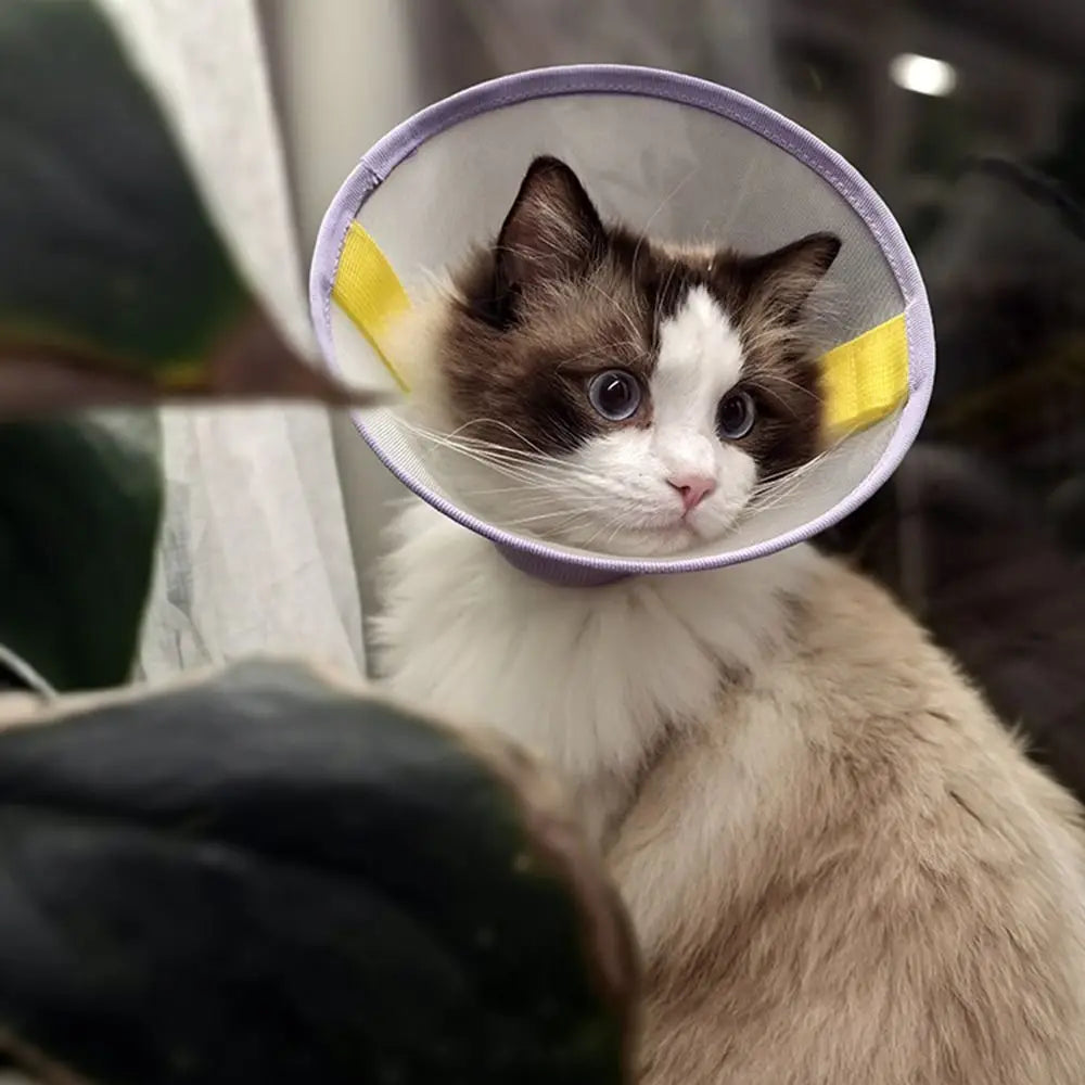 Anti-Bite Cat Elizabeth Collar Breathable Adjustable Cat Neck Protective Circle Snap Button Comfortable Pet Neck Cone