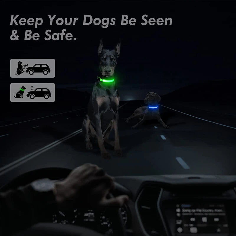 USB Rechargeable LED Glowing Collar for Pets
